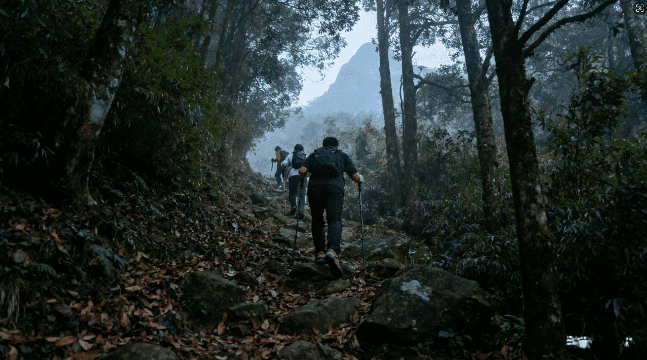 老王微劈加速器辅助提升网络速度教学